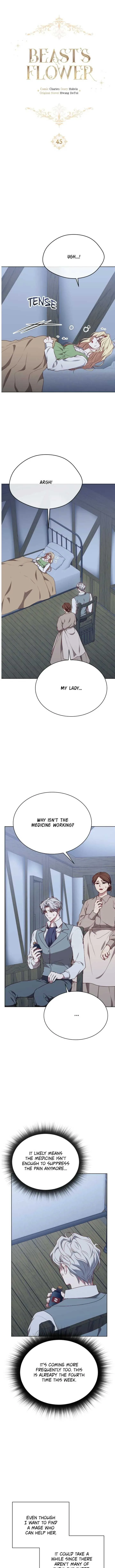 Beast’s Flower Chapter 45 page 6