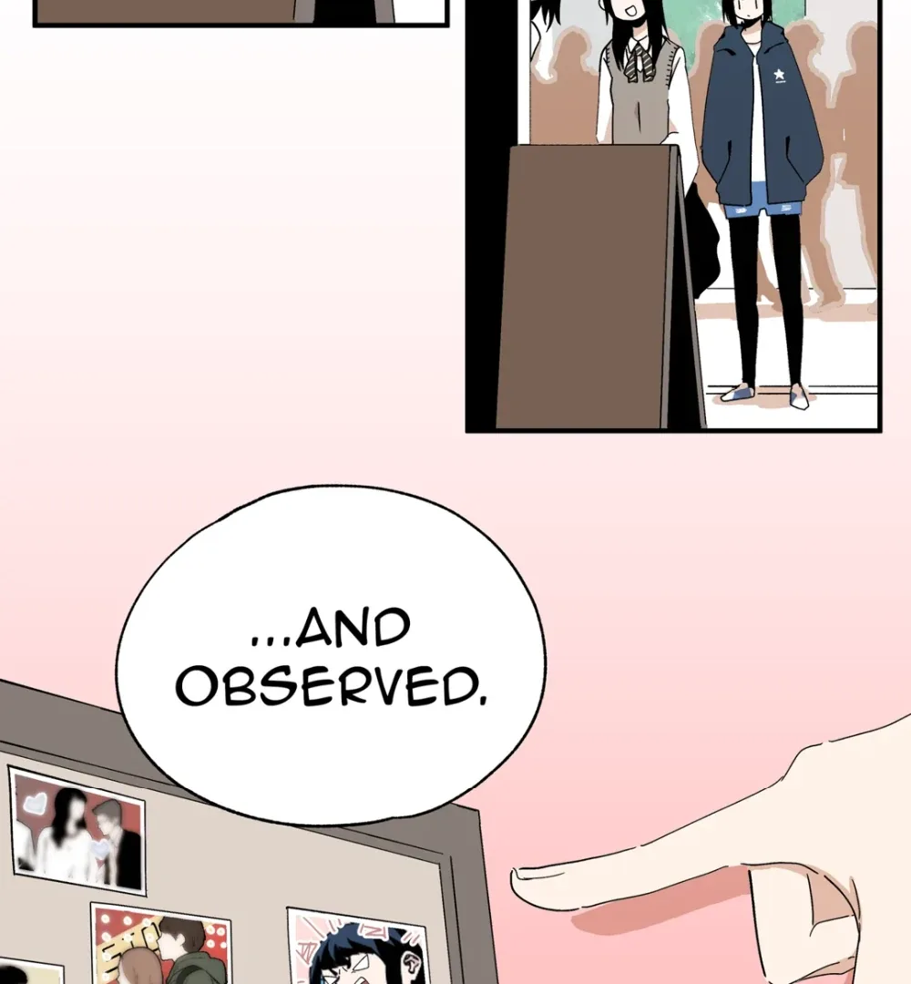 8% Opacity Chapter 2 page 74