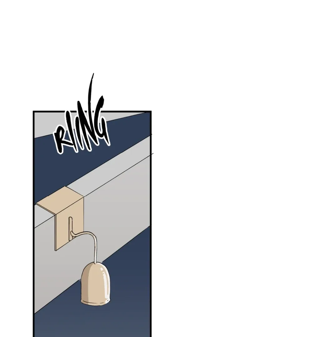 8% Opacity Chapter 5 page 28