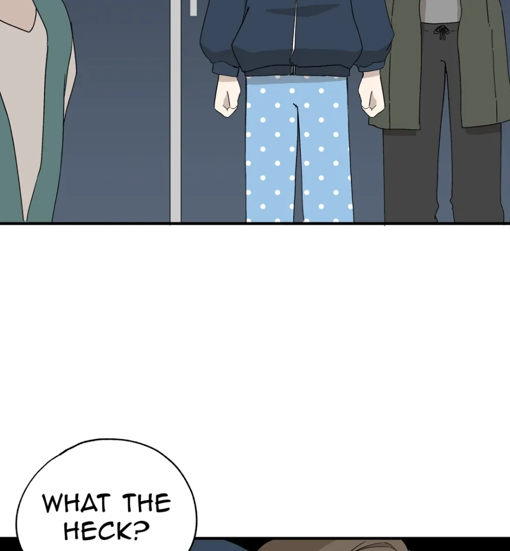8% Opacity Chapter 5 page 33
