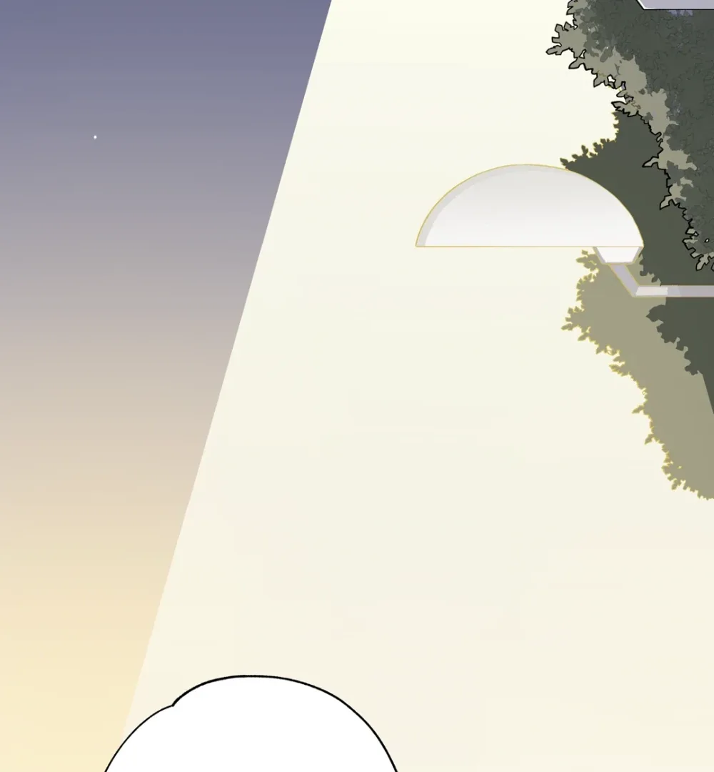 8% Opacity Chapter 3 page 64