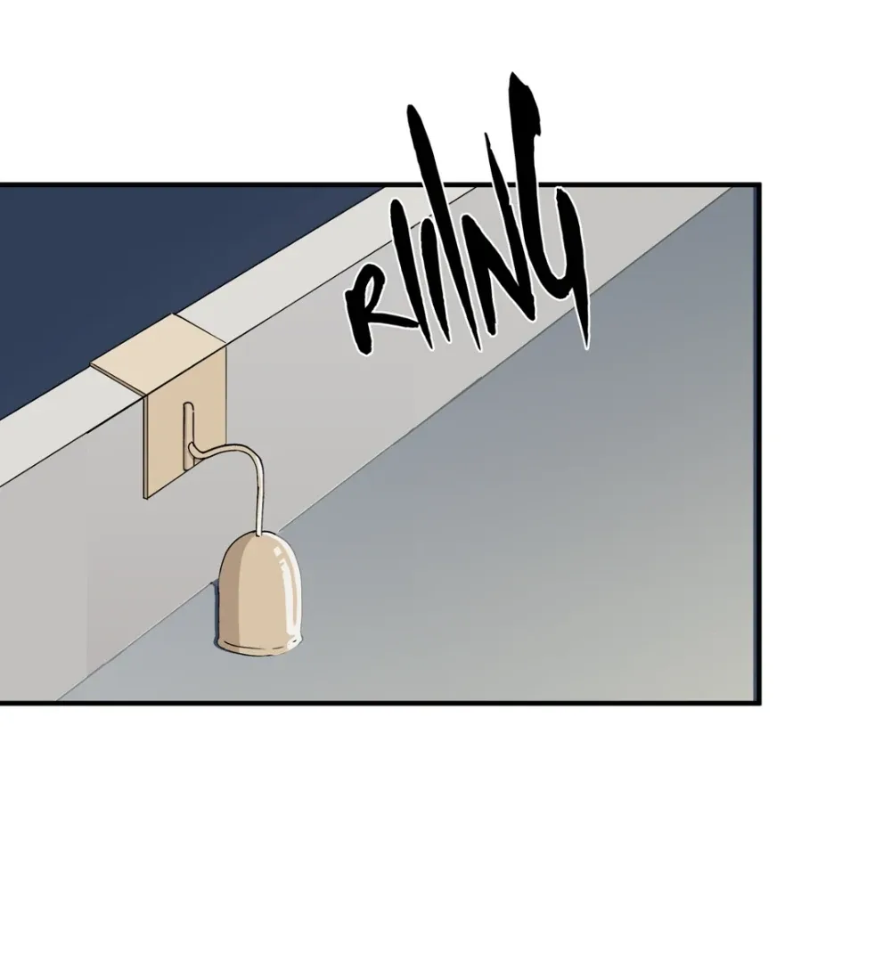 8% Opacity Chapter 5 page 74