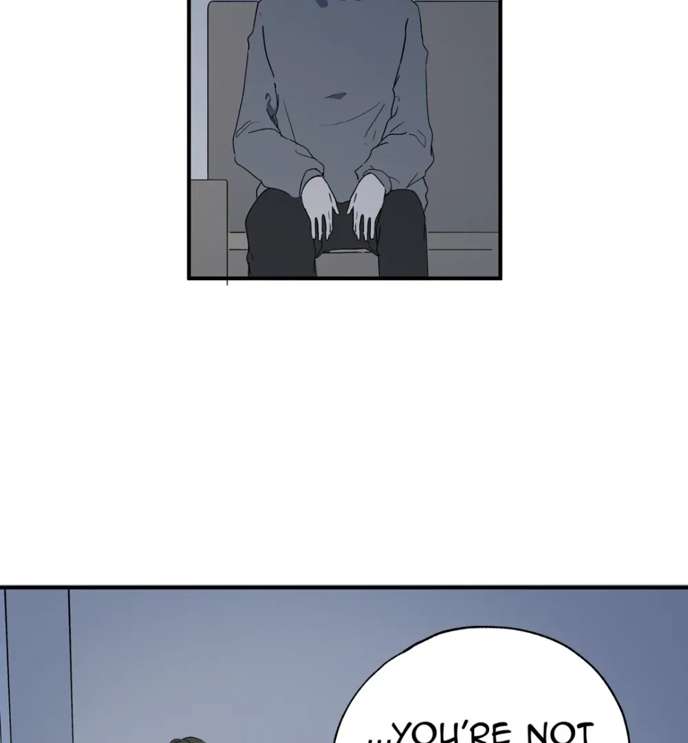 8% Opacity Chapter 4 page 111