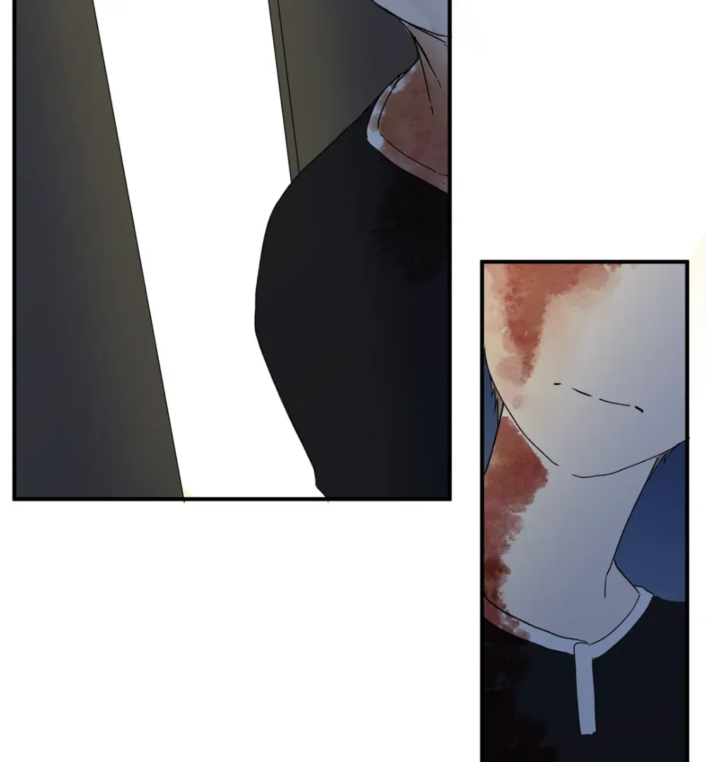 8% Opacity Chapter 14 page 54