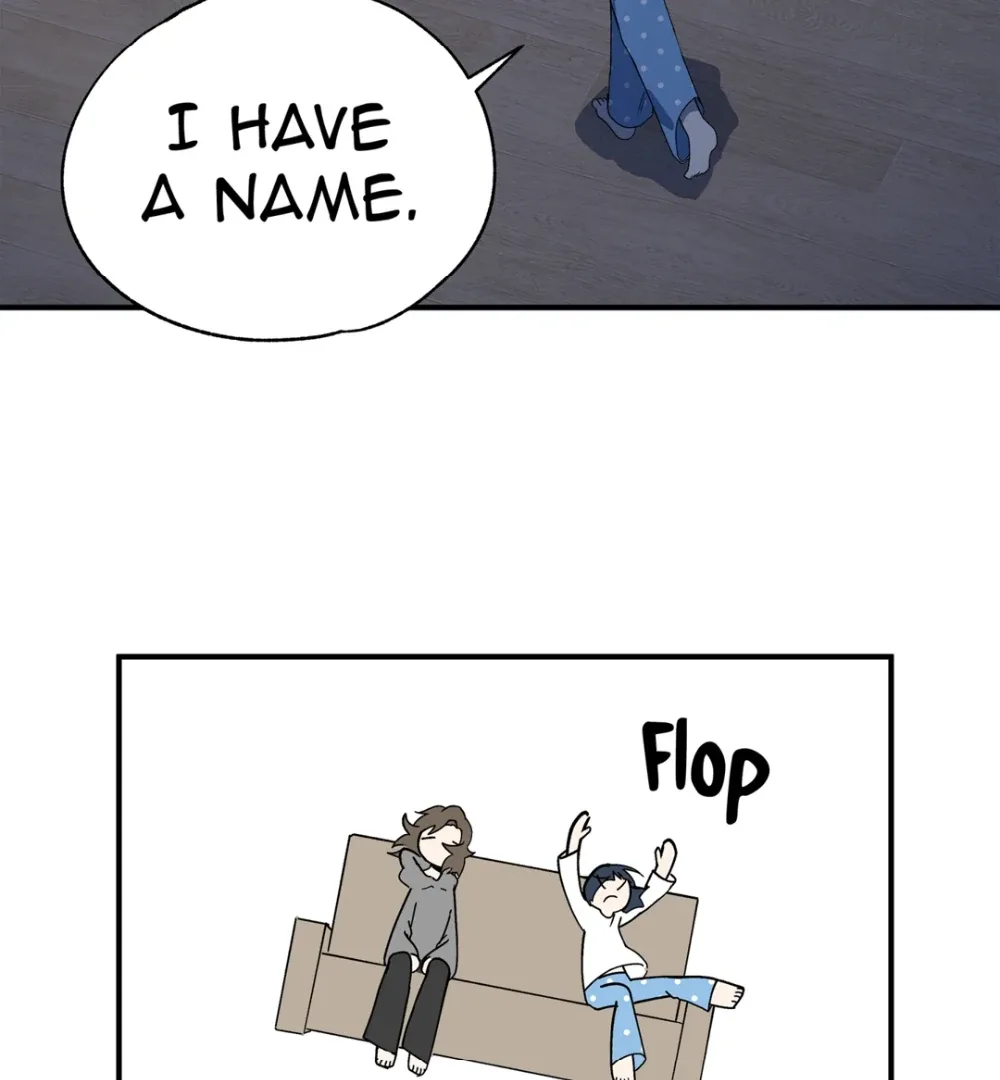 8% Opacity Chapter 4 page 113