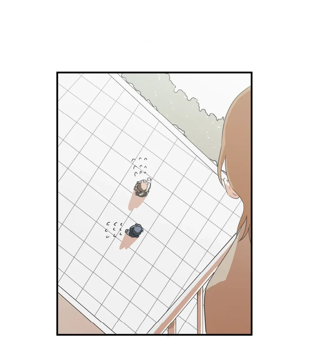 8% Opacity Chapter 5 page 106
