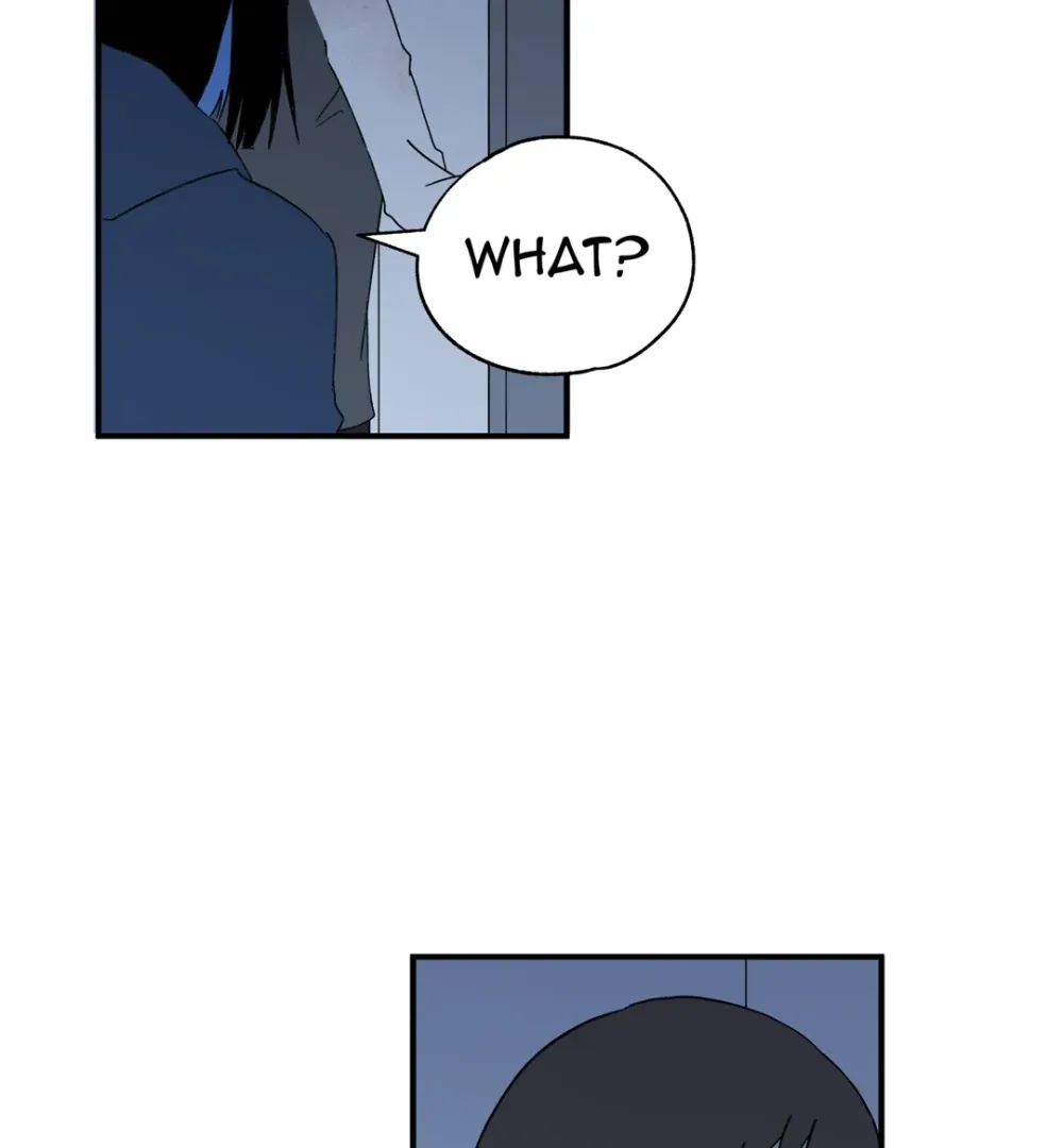 8% Opacity Chapter 13 page 85