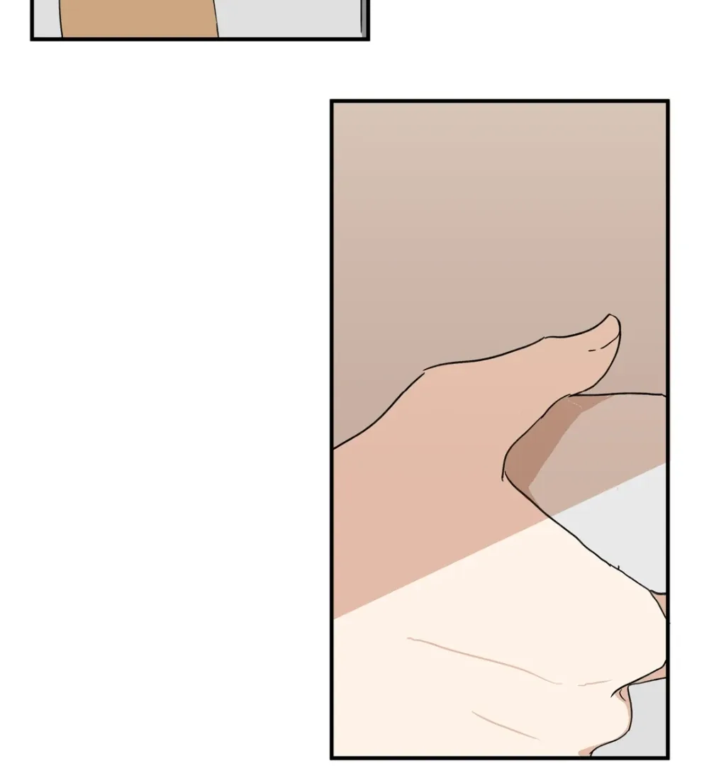 8% Opacity Chapter 15 page 74
