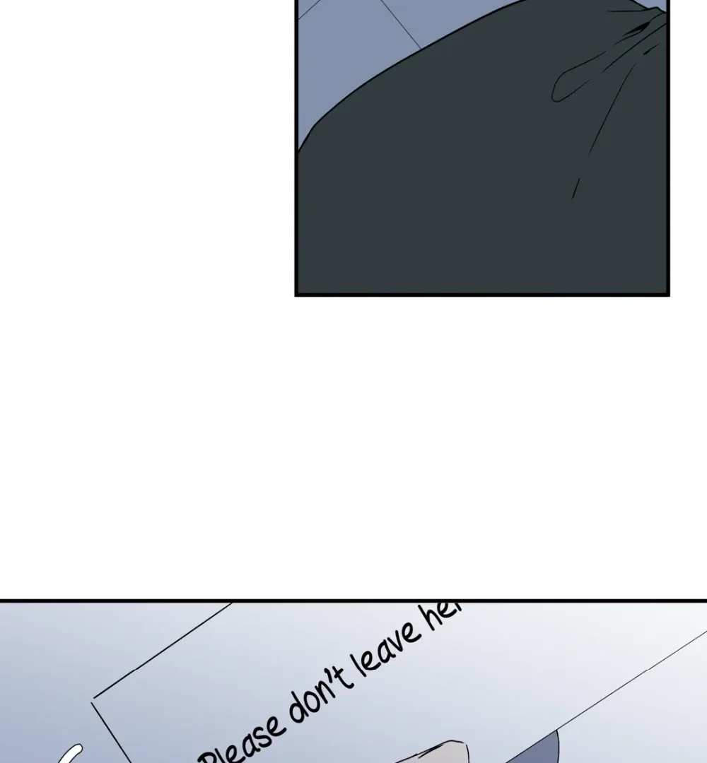 8% Opacity Chapter 3 page 153