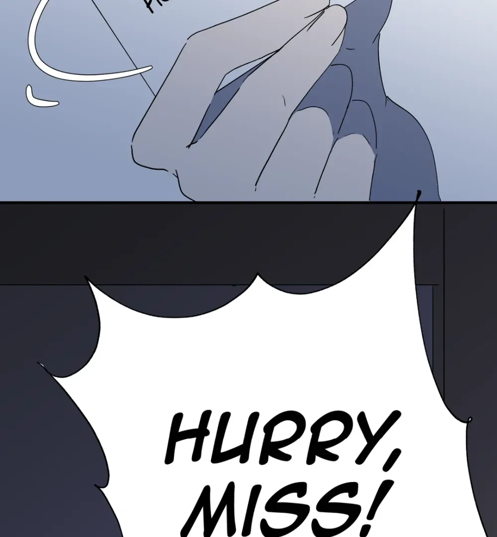 8% Opacity Chapter 3 page 154