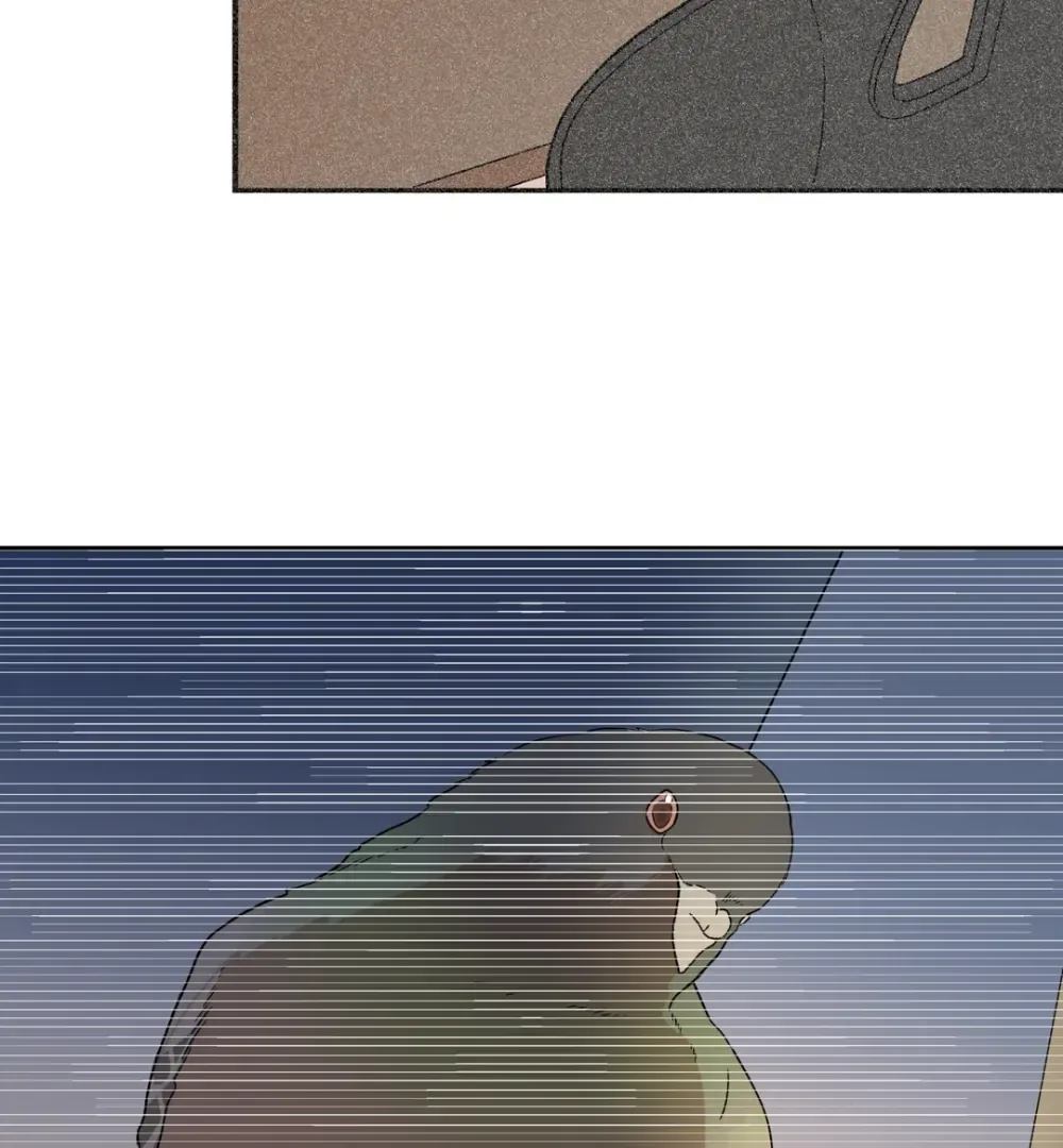 8% Opacity Chapter 17 page 46