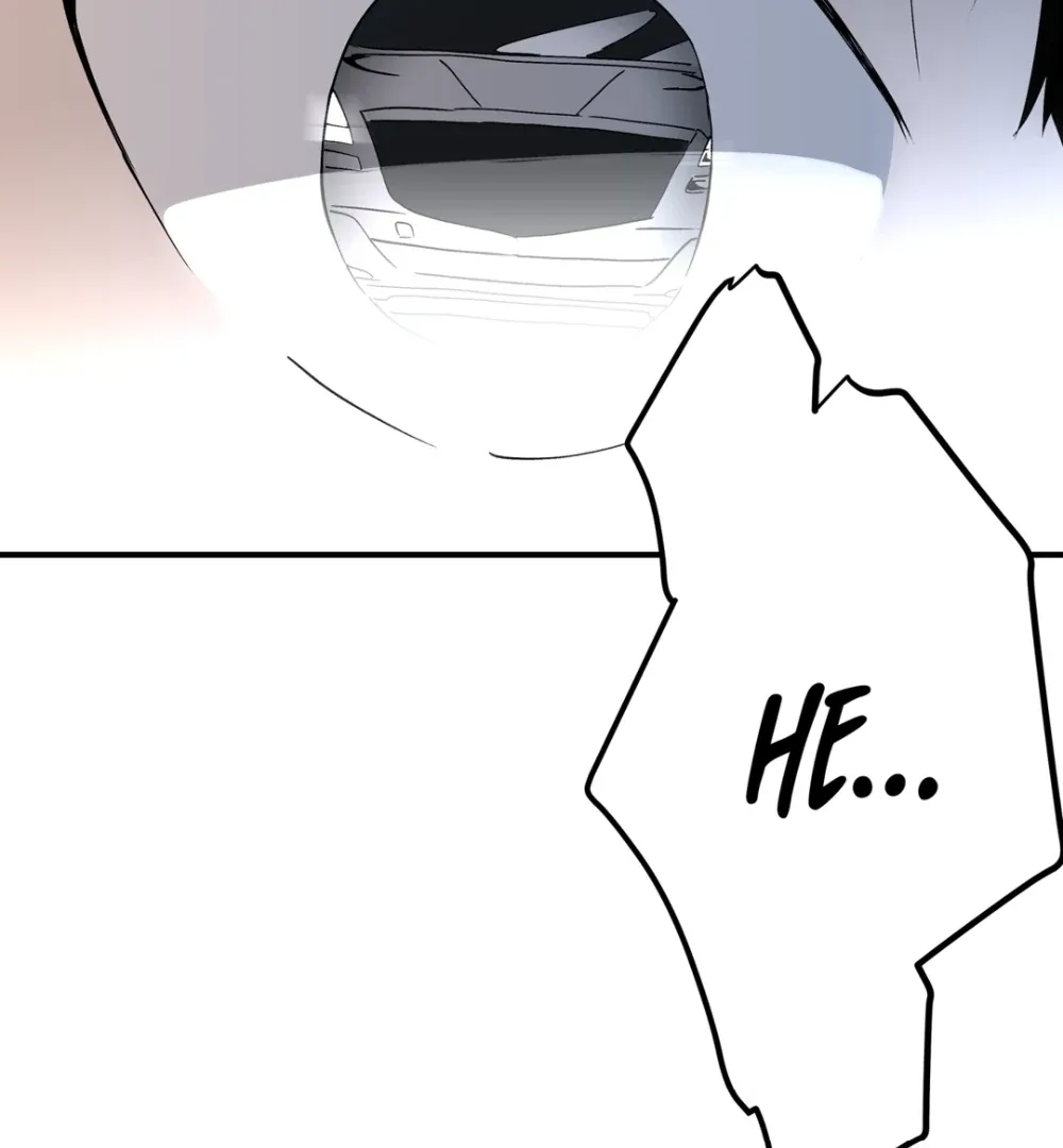 8% Opacity Chapter 12 page 142