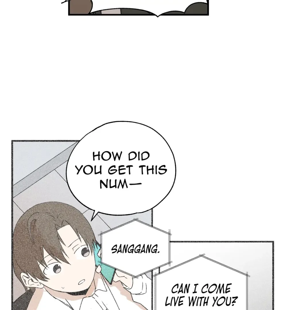 8% Opacity Chapter 24 page 31