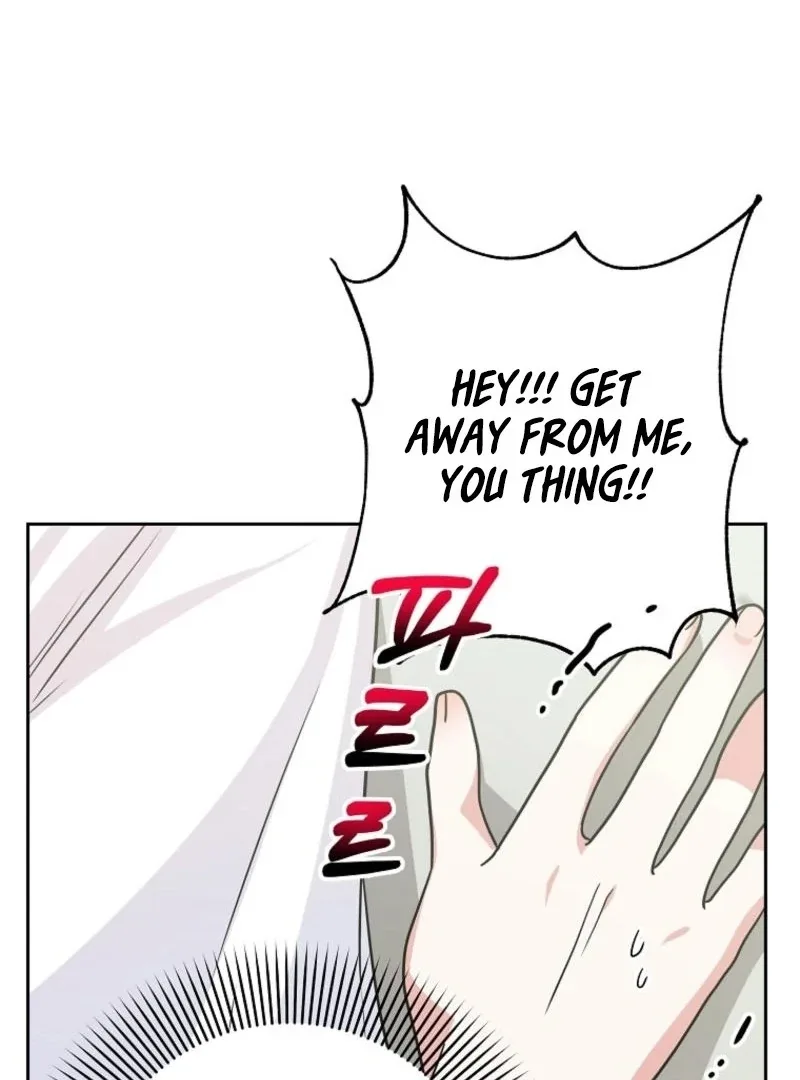 8470 Won for a Kiss Chapter 2 page 9