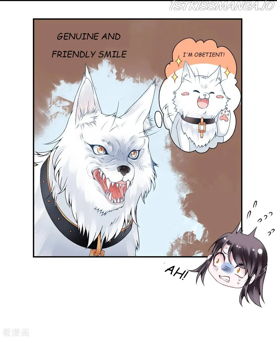 9000 Years Old Empress Chapter 73 page 28