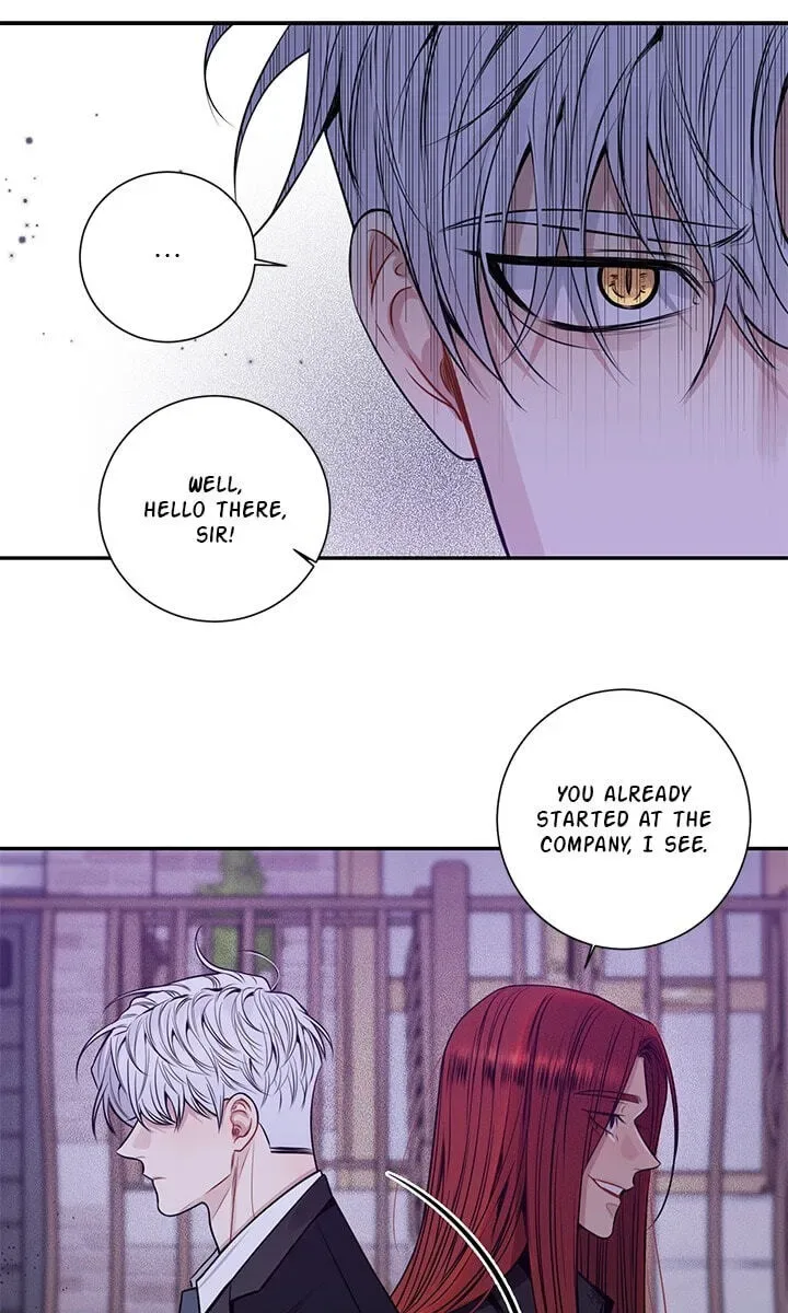 Cherry Blossoms After Winter Chapter 178 page 18