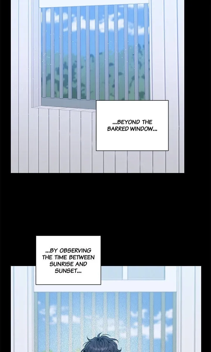 Cherry Blossoms After Winter Chapter 181 page 4