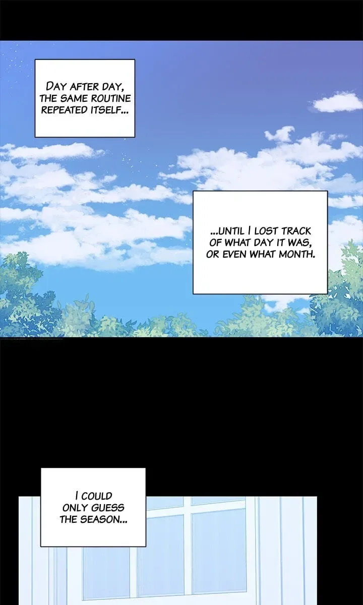 Cherry Blossoms After Winter Chapter 181 page 3