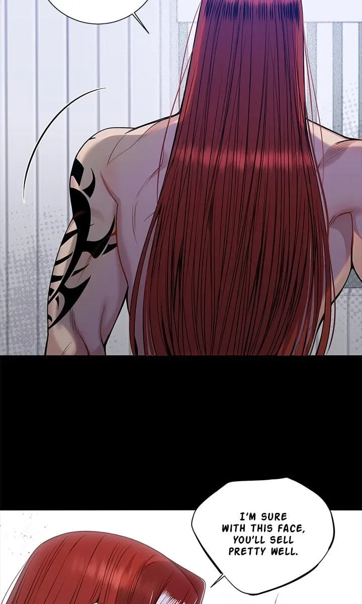 Cherry Blossoms After Winter Chapter 181 page 13