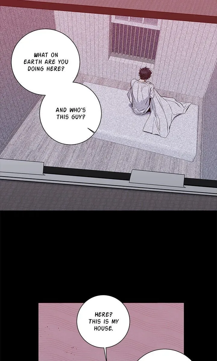 Cherry Blossoms After Winter Chapter 181 page 24