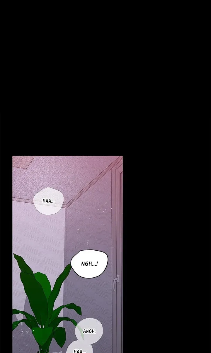Cherry Blossoms After Winter Chapter 181 page 32