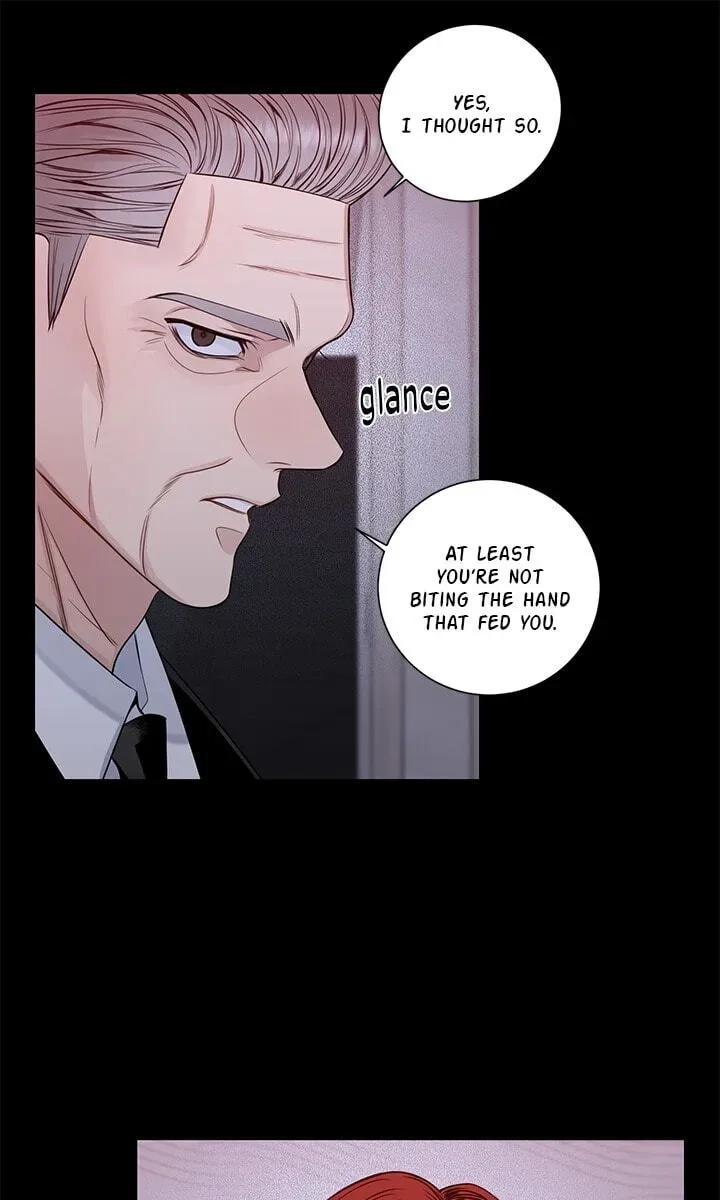Cherry Blossoms After Winter Chapter 180 page 43