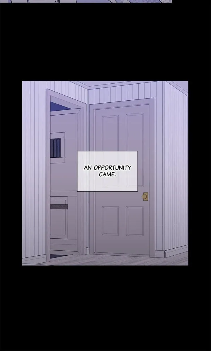 Cherry Blossoms After Winter Chapter 181 page 46