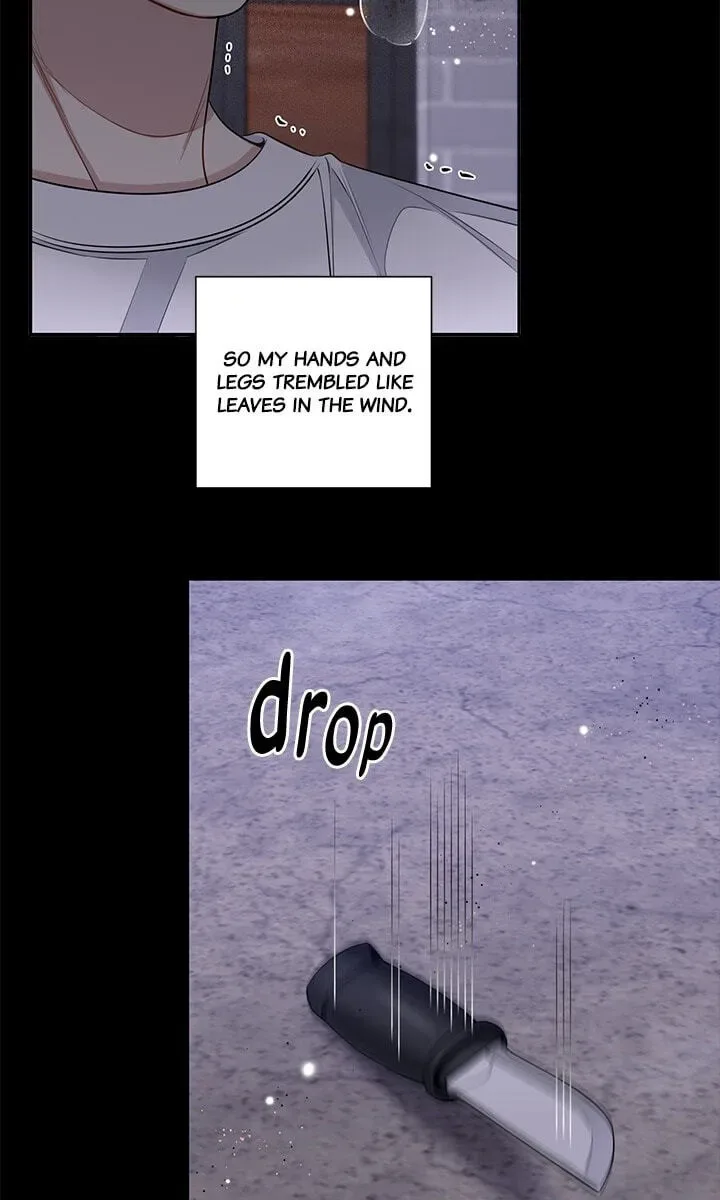 Cherry Blossoms After Winter Chapter 182 page 14