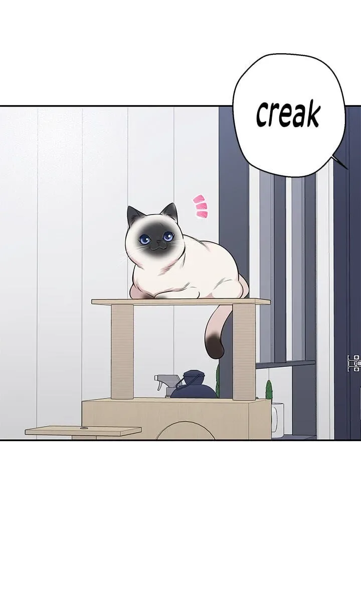 Cherry Blossoms After Winter Chapter 183 page 5