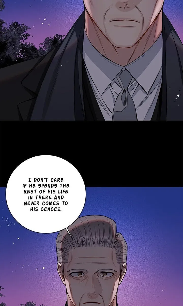 Cherry Blossoms After Winter Chapter 181 page 62
