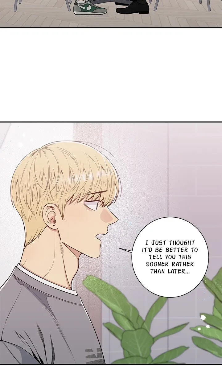 Cherry Blossoms After Winter Chapter 183 page 15