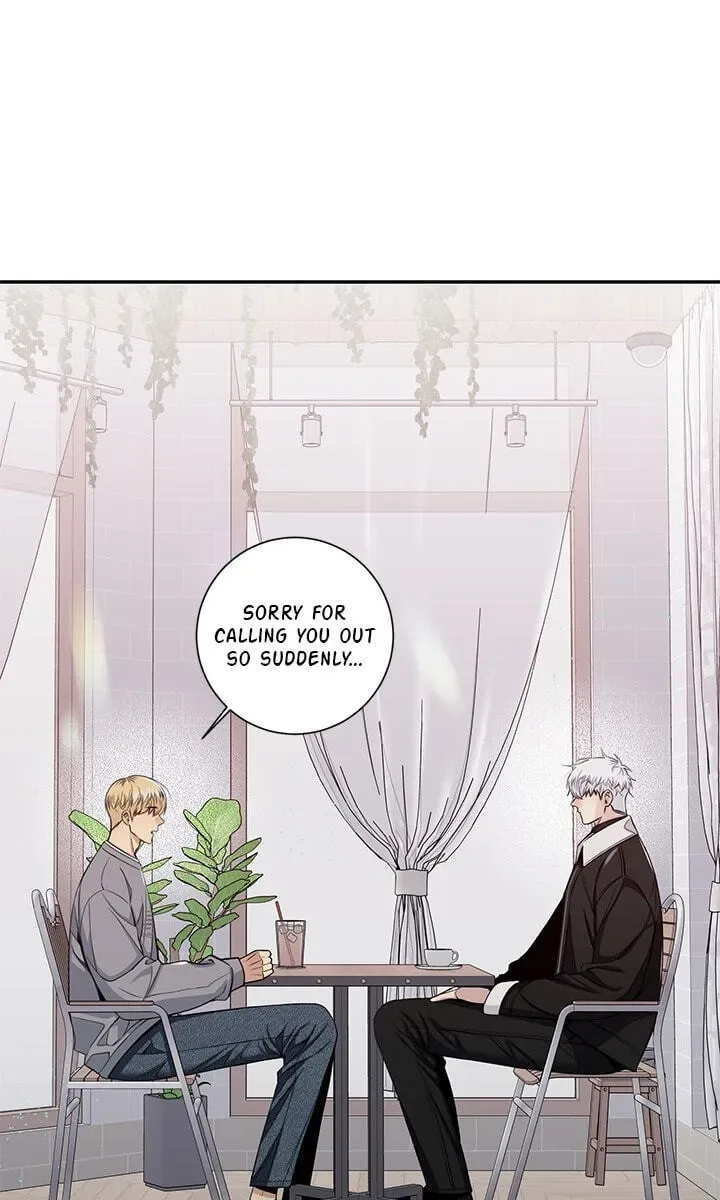 Cherry Blossoms After Winter Chapter 183 page 14