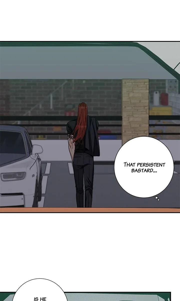 Cherry Blossoms After Winter Chapter 183 page 34