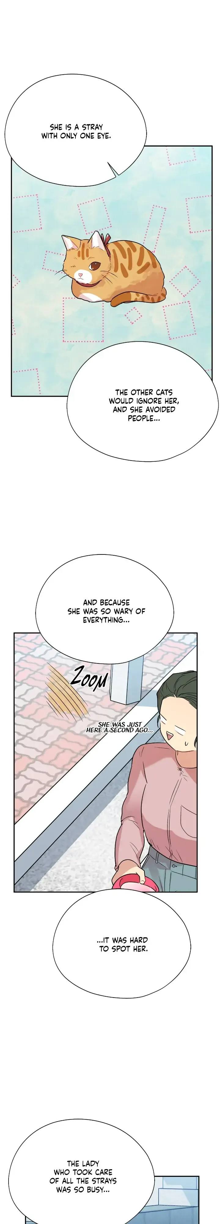 Could the Boy Next Door be a Vampire? Chapter 54 page 12