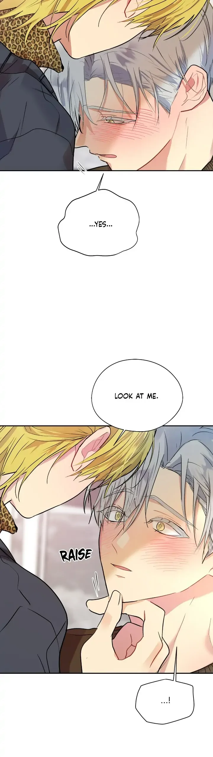 Could the Boy Next Door be a Vampire? Chapter 65 page 21
