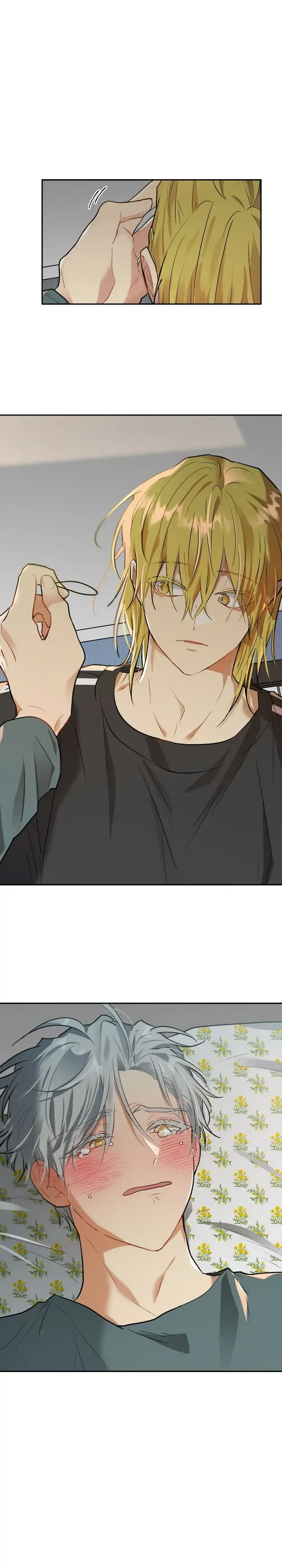 Could the Boy Next Door be a Vampire? Chapter 68 page 30