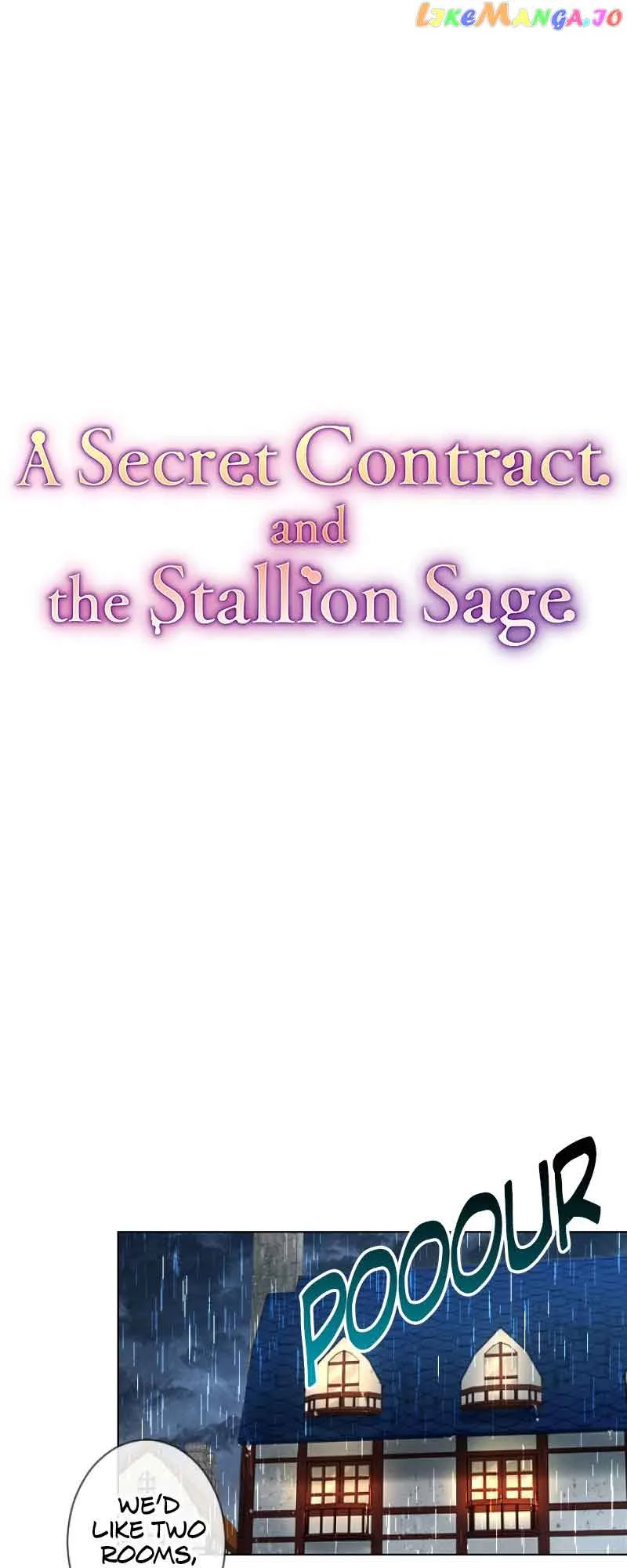 A Secret Contract and the Stallion Sage Chapter 7 page 12