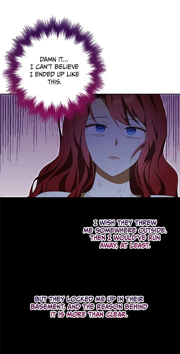 A Con Artist But That’s Okay Chapter 65 page 49