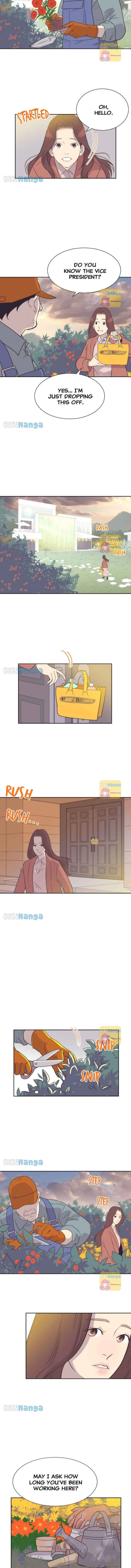 A Contractual Couple Again Chapter 81 page 8