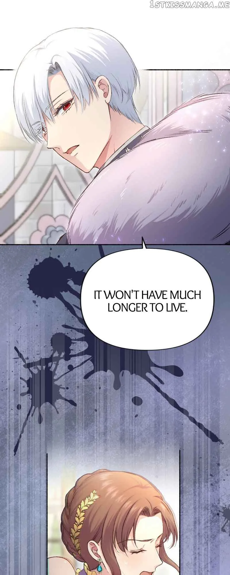 A Deceiving Bride and The Fierce Lion Chapter 19 page 18
