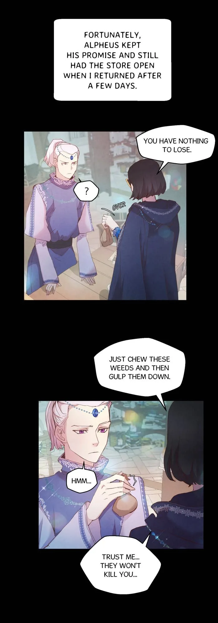A Fake Princess’s Survival Diary Chapter 24.5 page 8