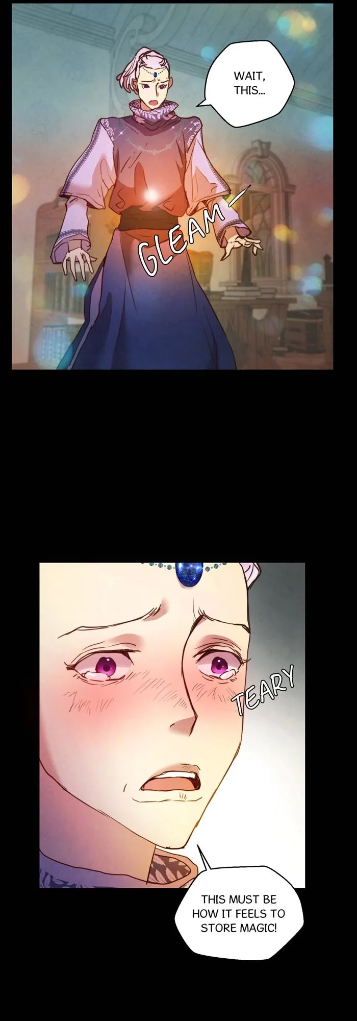 A Fake Princess’s Survival Diary Chapter 24.5 page 11