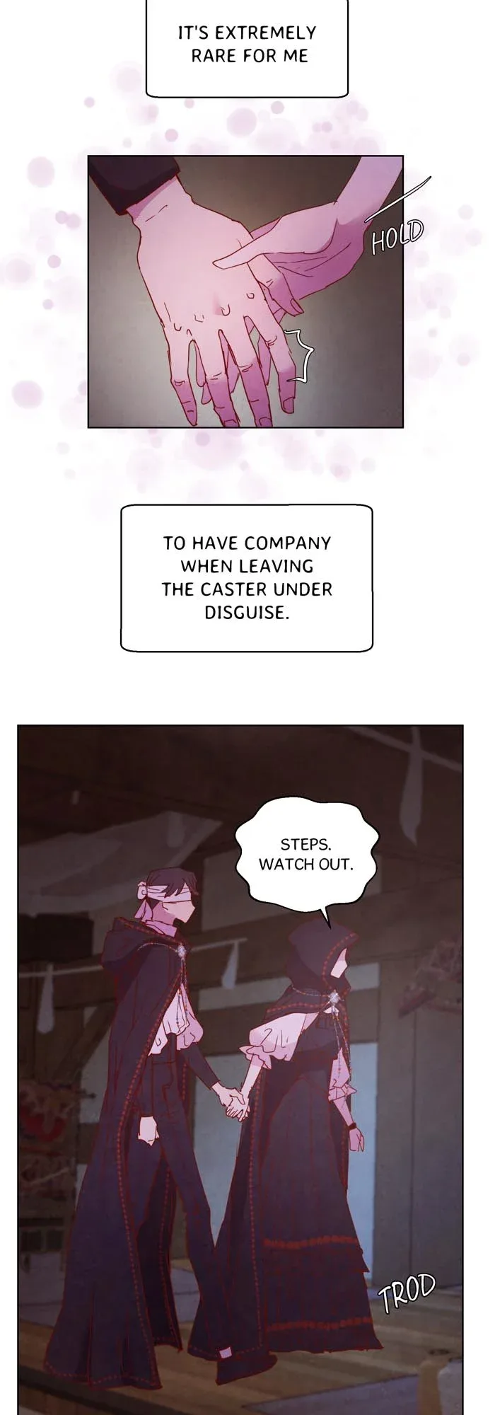 A Fake Princess’s Survival Diary Chapter 26.5 page 12
