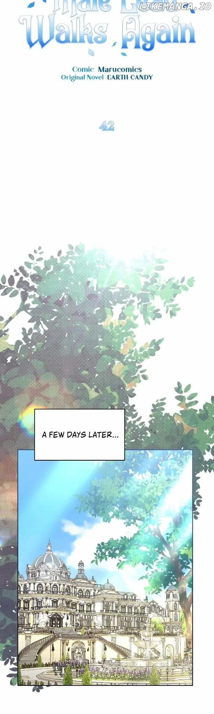 A Flowery Path for the Devastated Male Lead Chapter 42 page 25
