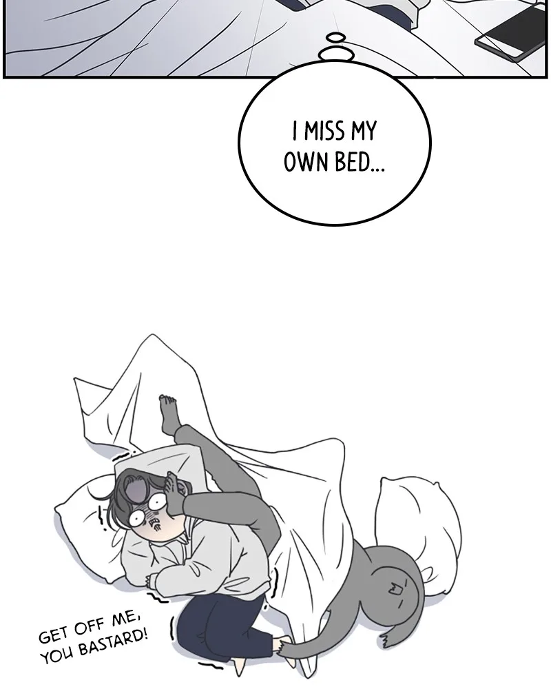 A Guide to Proper Dating Chapter 36 page 10