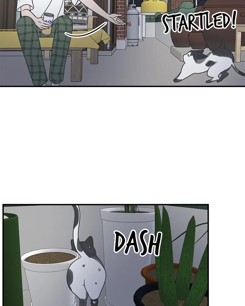 A Guide to Proper Dating Chapter 54 page 29
