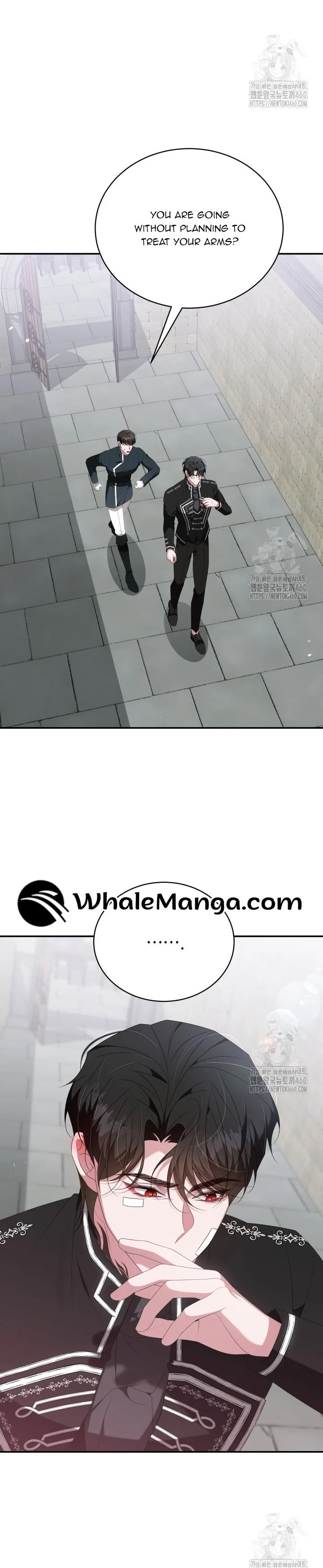 A Guide to the Reality of Villain Extras Chapter 20 page 29