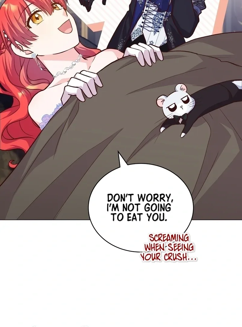 A happy ending without romance Chapter 14 page 91