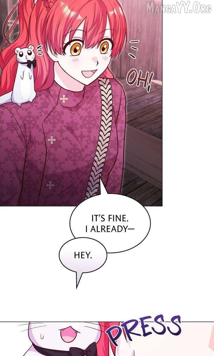 A happy ending without romance Chapter 35 page 17