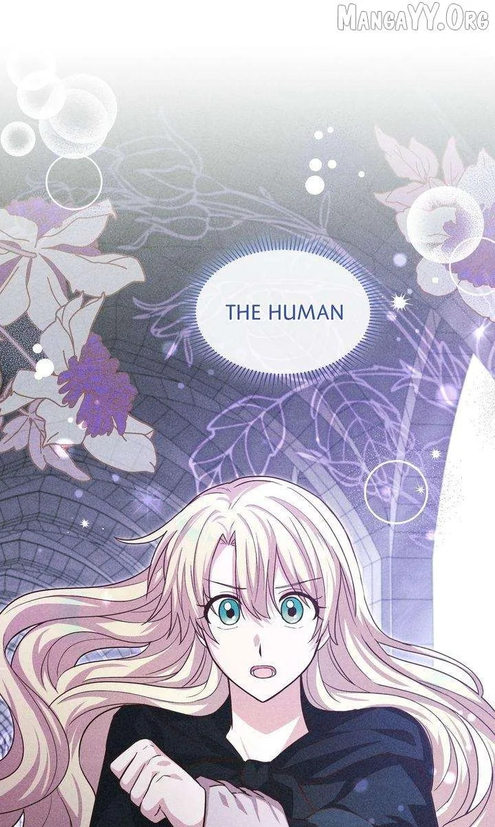 A happy ending without romance Chapter 37 page 1